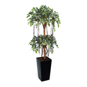 Artificial Tiered Variegated Ficus Tree at Evergreen Direct