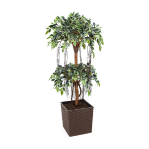 Artificial Tiered Variegated Ficus Tree at Evergreen Direct