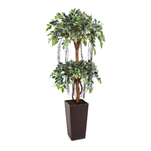 Artificial Tiered Variegated Ficus Tree at Evergreen Direct