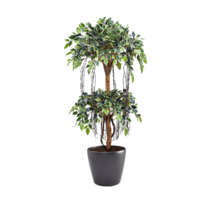 Artificial Tiered Variegated Ficus Tree at Evergreen Direct