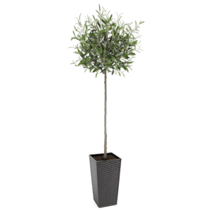 Artificial Tuscan Olive Tree - Evergreen Direct