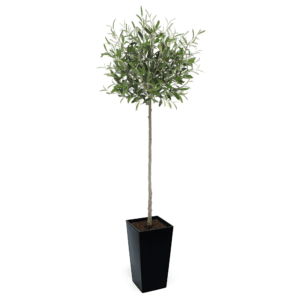 Artificial Tuscan Olive Tree - Evergreen Direct