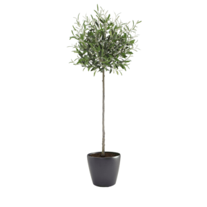 Artificial Tuscan Olive Tree - Evergreen Direct