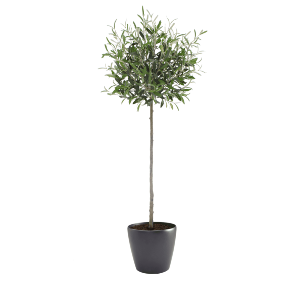 Artificial Tuscan Olive Tree - Evergreen Direct