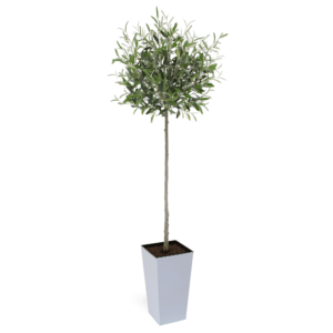 Artificial Tuscan Olive Tree - Evergreen Direct