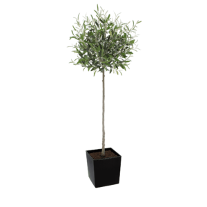 Artificial Tuscan Olive Tree - Evergreen Direct