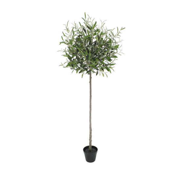 Artificial Tuscan Olive Tree - Evergreen Direct