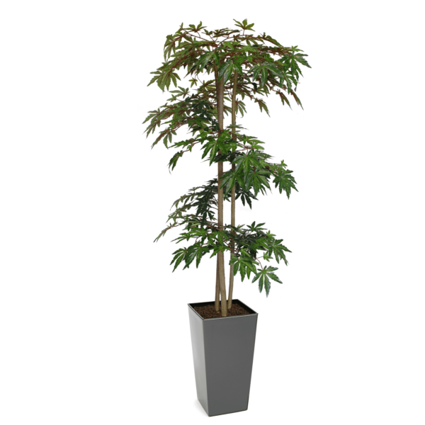 Artificial Hand Made Green Maple Tree Spiral | Evergreen Direct