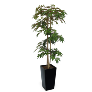 Artificial Hand Made Green Maple Tree Spiral | Evergreen Direct