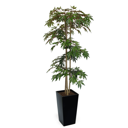 Artificial Hand Made Green Maple Tree Spiral | Evergreen Direct