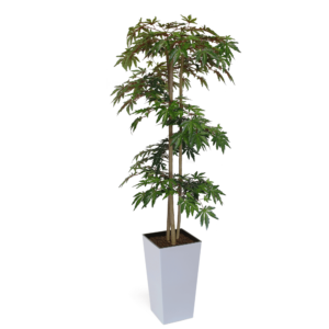 Artificial Hand Made Green Maple Tree Spiral | Evergreen Direct