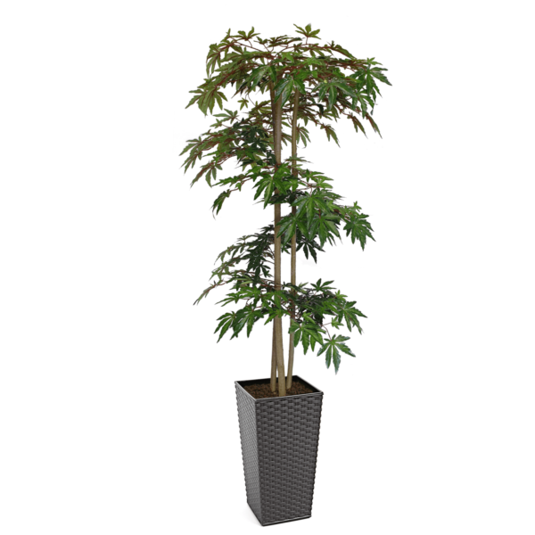 Artificial Hand Made Green Maple Tree Spiral | Evergreen Direct