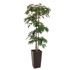 Artificial Hand Made Green Maple Tree Spiral | Evergreen Direct