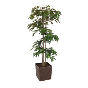 Artificial Hand Made Green Maple Tree Spiral | Evergreen Direct