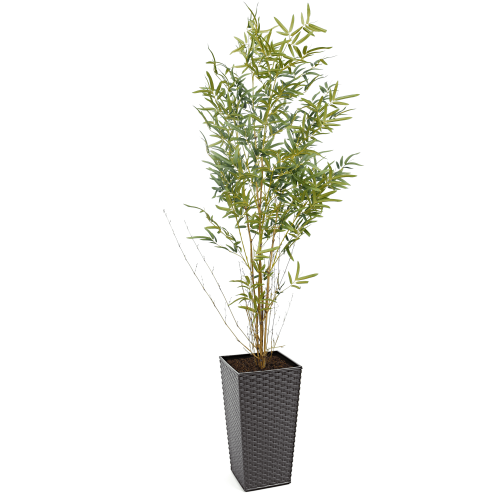 Artificial Real Stem Bamboo Tree | Evergreen Direct