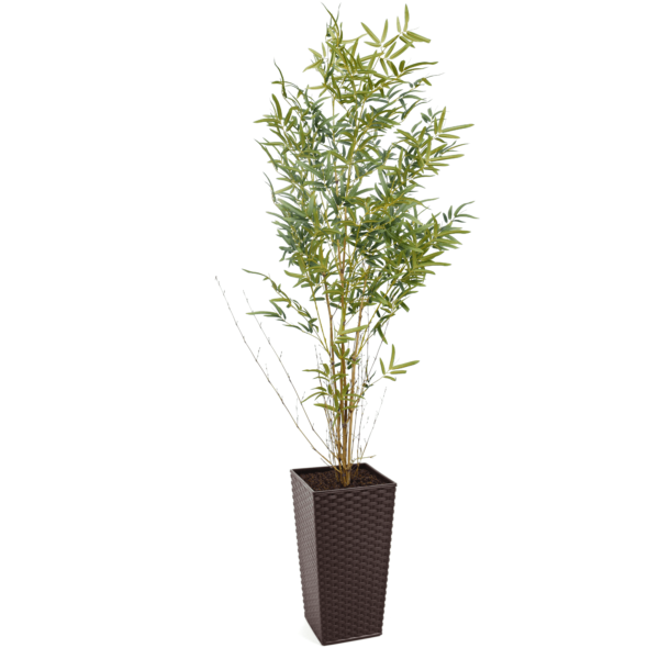 Artificial Real Stem Bamboo Tree | Evergreen Direct