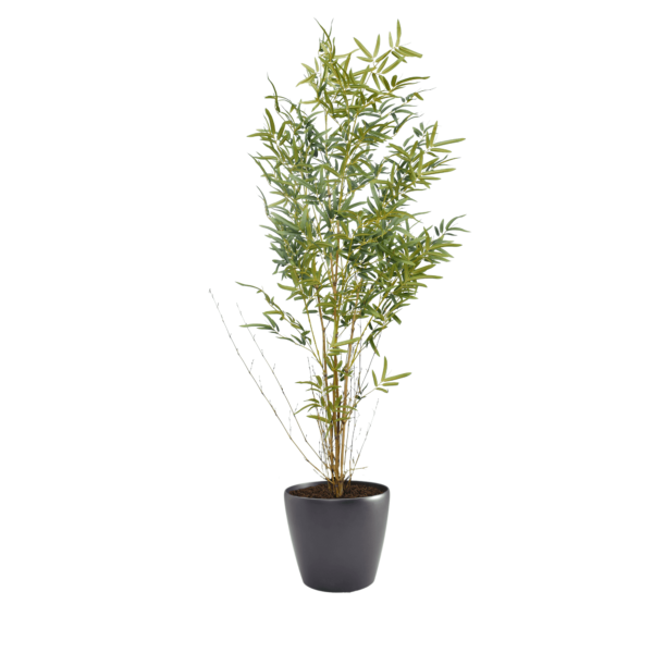 Artificial Real Stem Bamboo Tree | Evergreen Direct