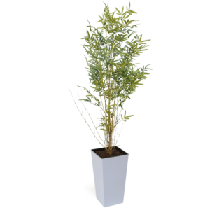 Artificial Real Stem Bamboo Tree | Evergreen Direct