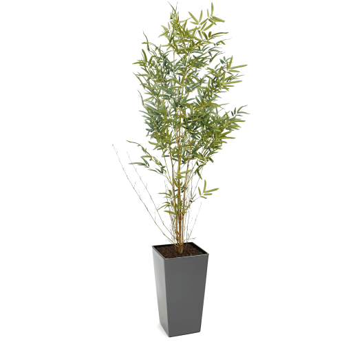 Artificial Real Stem Bamboo Tree | Evergreen Direct