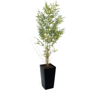 Artificial Real Stem Bamboo Tree | Evergreen Direct