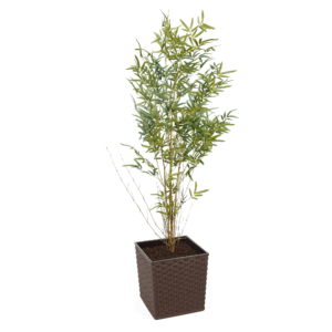 Artificial Real Stem Bamboo Tree | Evergreen Direct