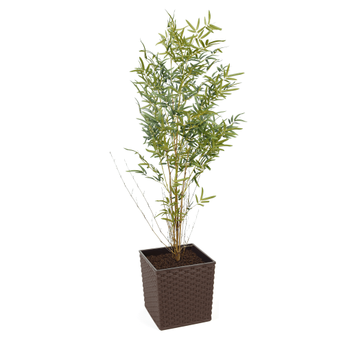 Artificial Real Stem Bamboo Tree | Evergreen Direct