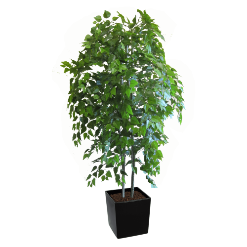 Artificial Birch Tree 6 Feet - Medium Lilia Black