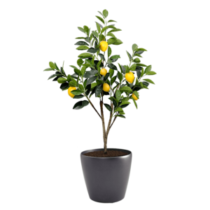 Artificial Lemon Tree at Evergreen Direct