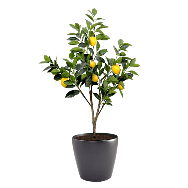 Artificial Lemon Tree at Evergreen Direct