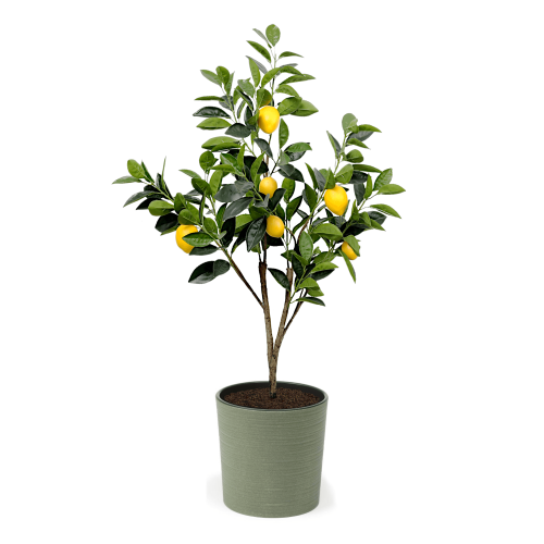 Artificial Lemon Tree at Evergreen Direct