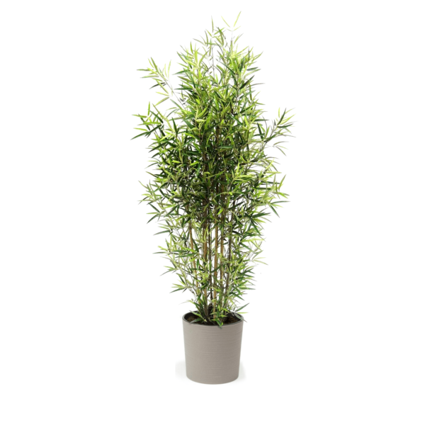 Artificial Medium Traditional Bamboo Tree at Evergreen Direct