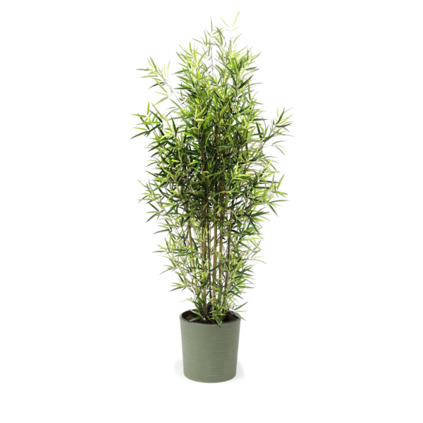 Artificial Medium Traditional Bamboo Tree at Evergreen Direct