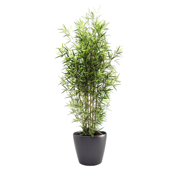 Artificial Medium Traditional Bamboo Tree at Evergreen Direct