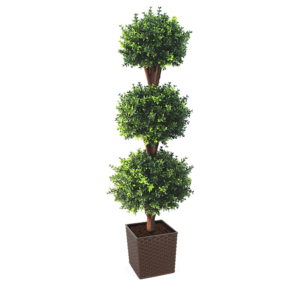 Deluxe Triple Boxwood Ball Topiary Tree From Evergreen Direct