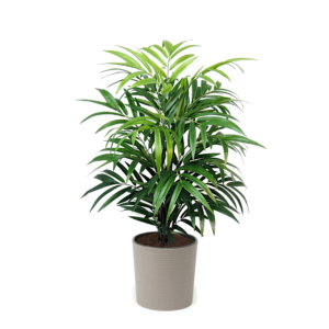 Artificial Real Touch Bamboo Tree