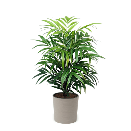 Artificial Real Touch Bamboo Tree