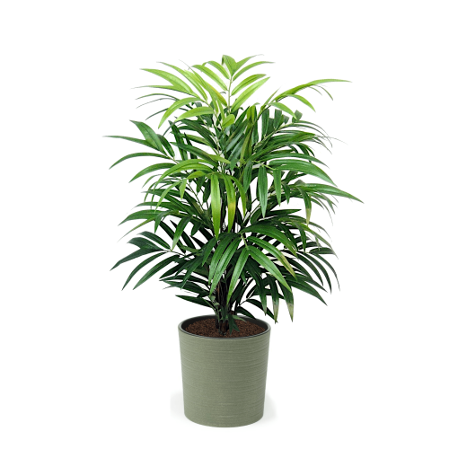 Artificial Real Touch Bamboo Tree