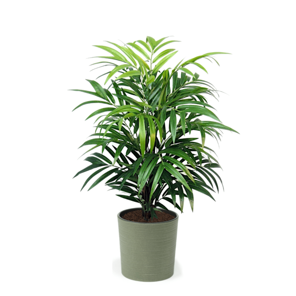 Artificial Real Touch Bamboo Tree