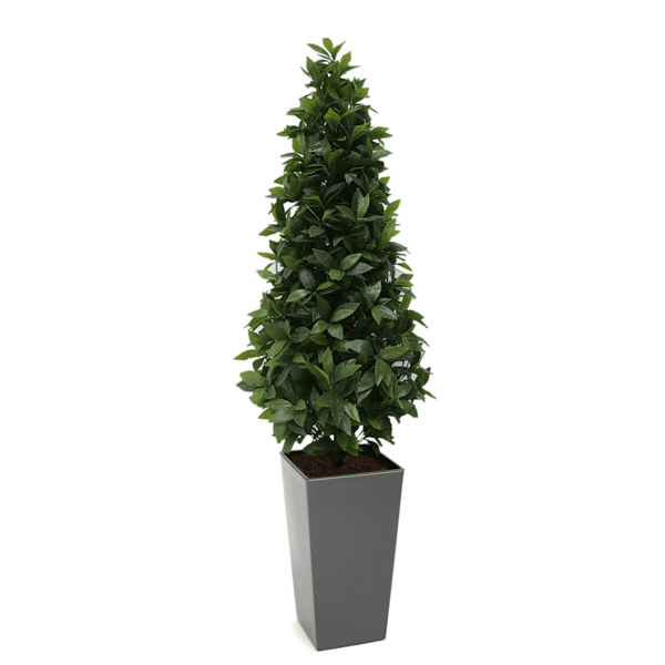 Artificial Bay Tree Cone | Evergreen Direct