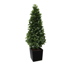 Artificial Bay Tree Cone | Evergreen Direct