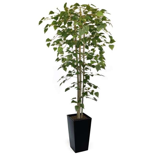 Artificial Hand Made Birch Tree | Evergreen Direct