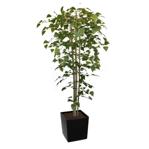 Artificial Hand Made Birch Tree | Evergreen Direct