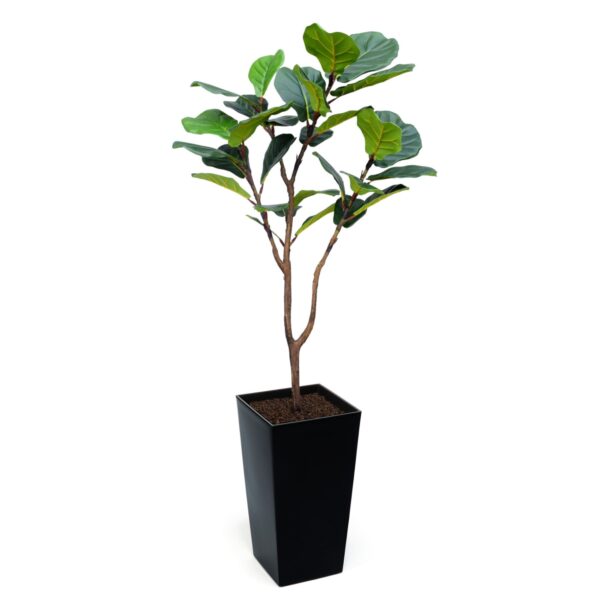 Artificial Fiddle Leaf Fig at Evergreen Direct