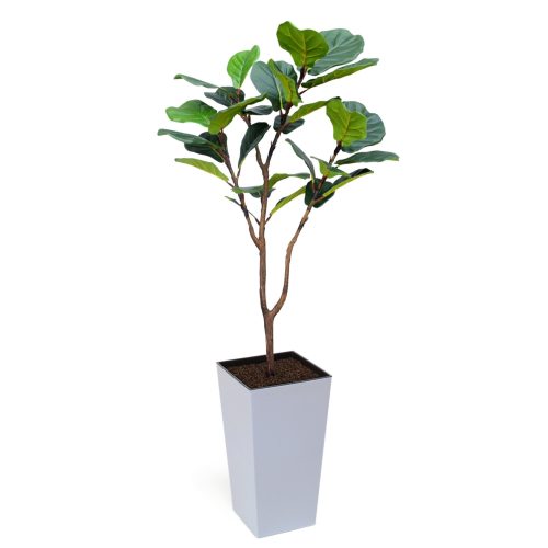 Artificial Fiddle Leaf Fig at Evergreen Direct