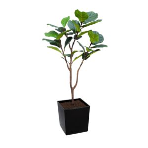 Artificial Fiddle Leaf Fig at Evergreen Direct