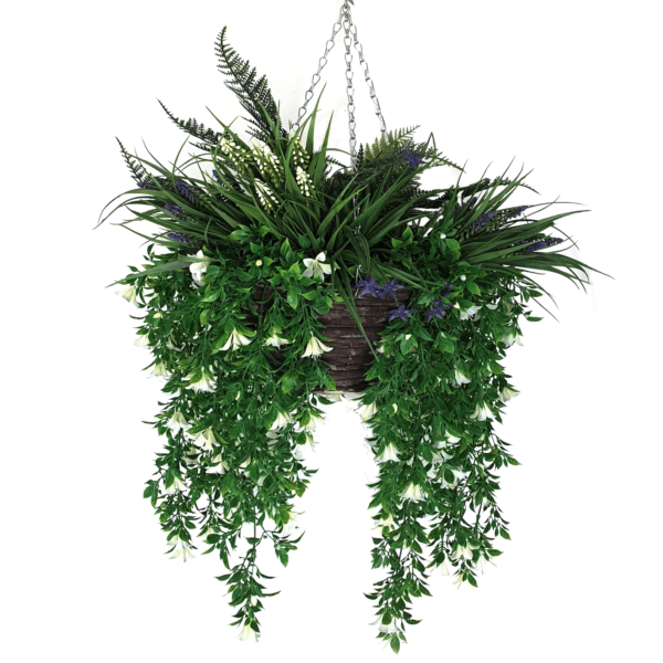 Trailing Angel Hanging Basket