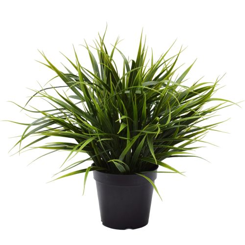 Artificial potted spider grass plant at Evergreen Direct