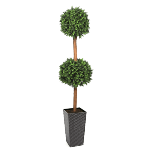 Deluxe Double Boxwood Ball Topiary Tree From Evergreen Direct