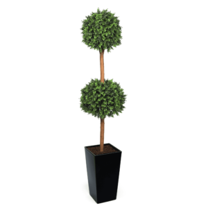 Deluxe Double Boxwood Ball Topiary Tree From Evergreen Direct