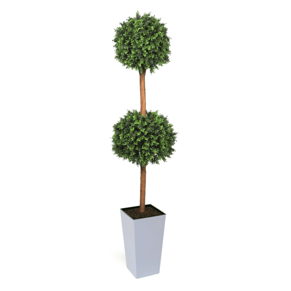 Deluxe Double Boxwood Ball Topiary Tree From Evergreen Direct